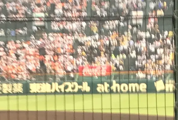 阪神甲子園球場の写真・動画_image_240432