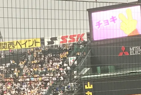 阪神甲子園球場の写真・動画_image_240433