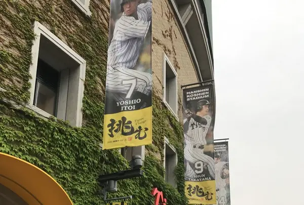 阪神甲子園球場の写真・動画_image_240434