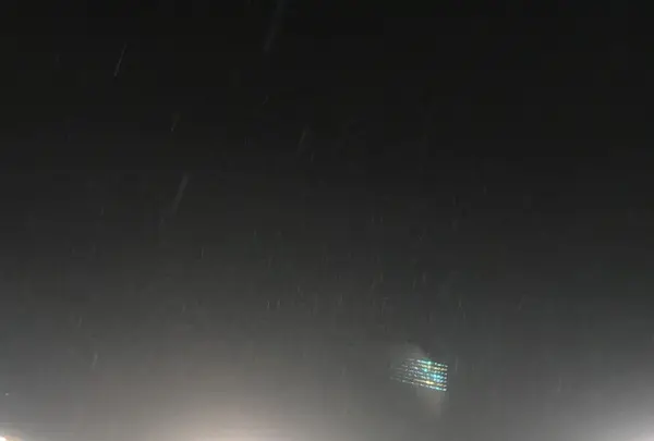 阪神甲子園球場の写真・動画_image_240438