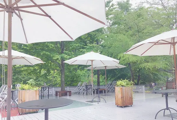 NASU SHOZO CAFEの写真・動画_image_240593