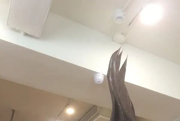 小林髪廊の写真・動画_image_240635