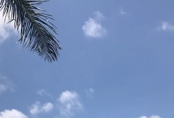ムーンビーチの写真・動画_image_240656