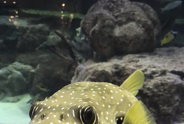 ムーンビーチの写真・動画_image_240659