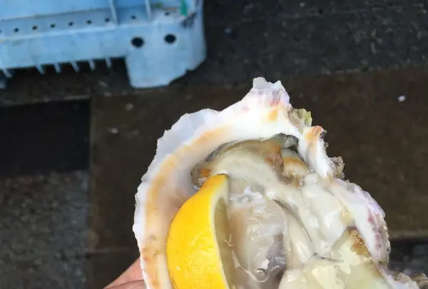 那珂湊おさかな市場の写真・動画_image_240802