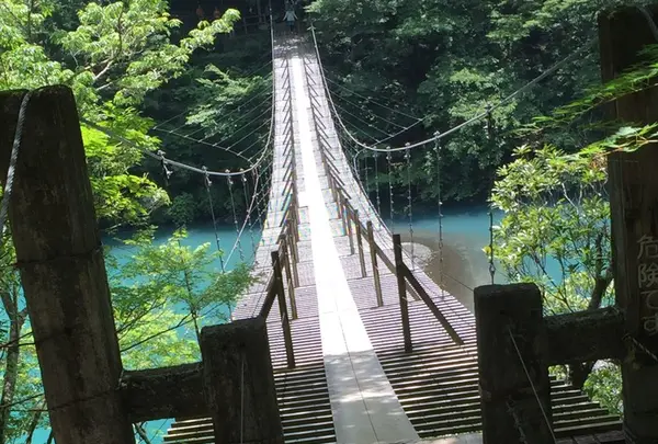 夢の吊橋の写真・動画_image_240806