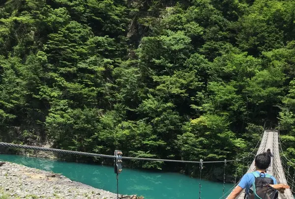 夢の吊橋の写真・動画_image_240812