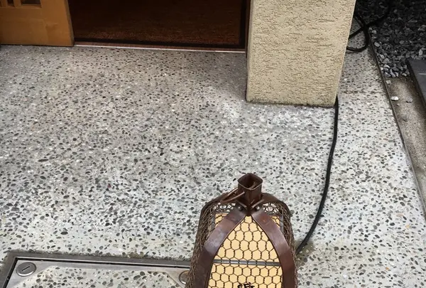 そば酒房かねこの写真・動画_image_240827