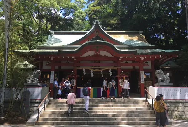來宮神社の写真・動画_image_241034