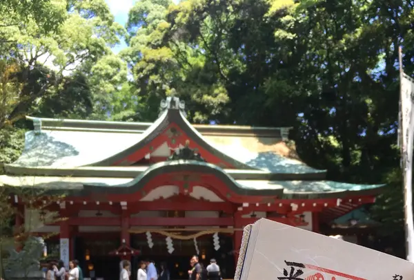 來宮神社の写真・動画_image_241035