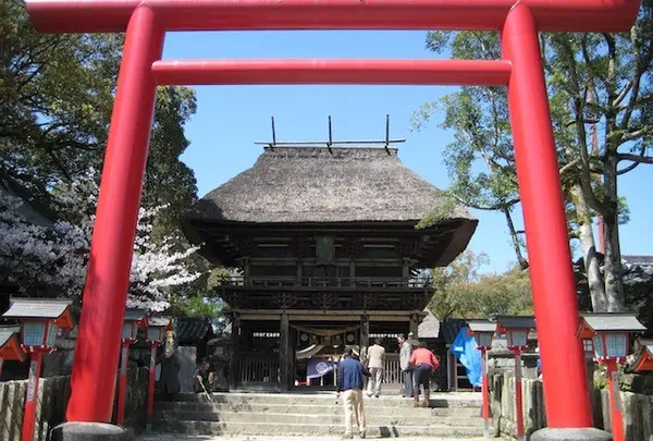 青井阿蘇神社の写真・動画_image_241214