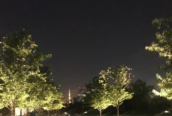 品川シーズンテラスの写真・動画_image_241374