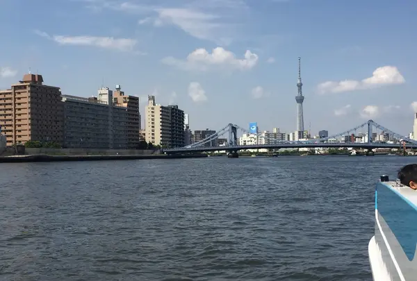 東京湾クルージングの写真・動画_image_241440
