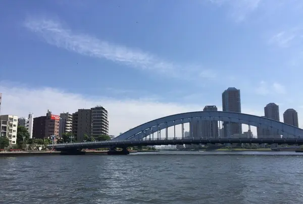 東京湾クルージングの写真・動画_image_241441
