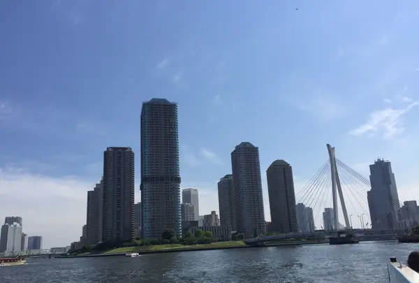 東京湾クルージングの写真・動画_image_241442