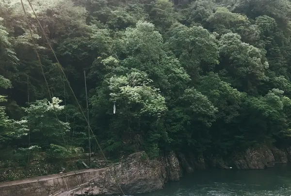杖立温泉の写真・動画_image_241771