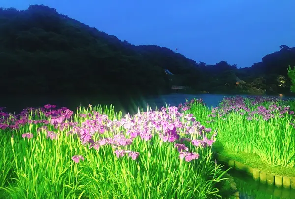 三溪園の写真・動画_image_241888