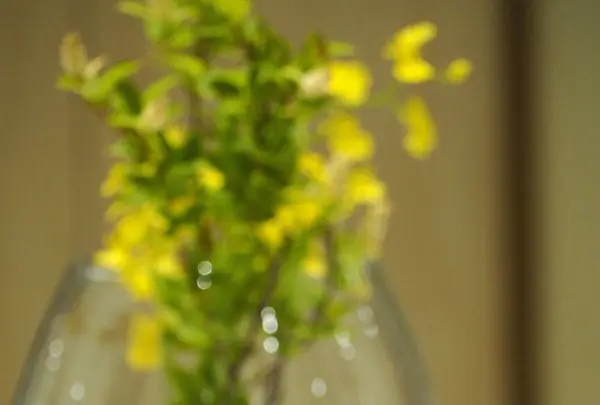 ブルーボトルコーヒー（Blue Bottle Coffee）六本木店の写真・動画_image_241963