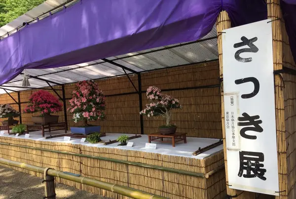 神代植物公園の写真・動画_image_242385