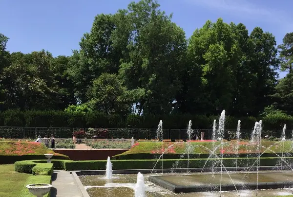 神代植物公園の写真・動画_image_242388