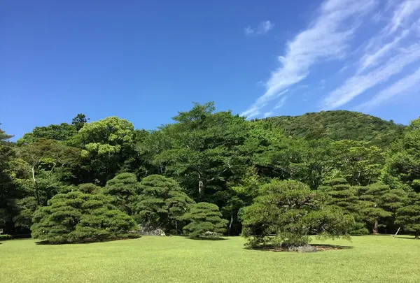 伊勢神宮内宮（皇大神宮）の写真・動画_image_242507