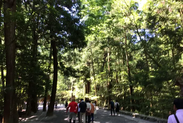 伊勢神宮内宮（皇大神宮）の写真・動画_image_242519