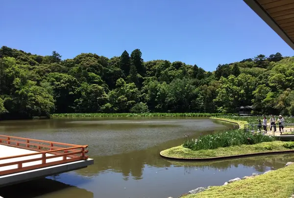 伊勢神宮外宮（豊受大神宮）の写真・動画_image_242551