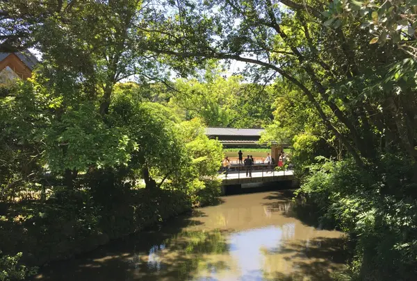 伊勢神宮外宮（豊受大神宮）の写真・動画_image_242555