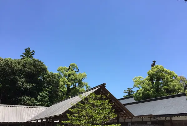 伊勢神宮外宮（豊受大神宮）の写真・動画_image_242561