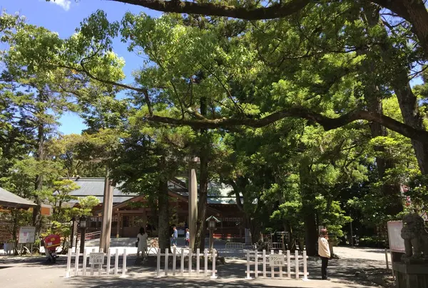 猿田彦神社の写真・動画_image_242572