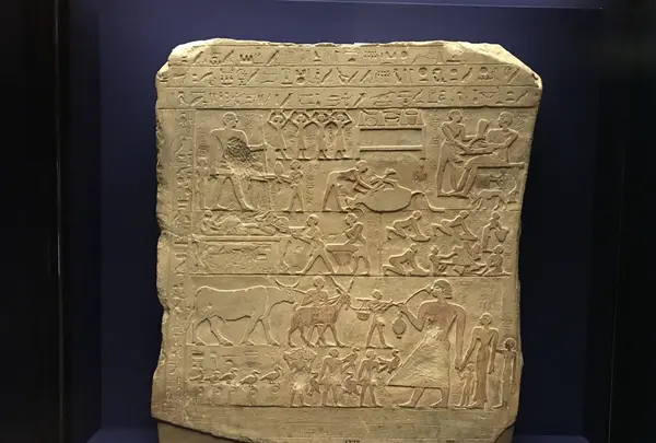 香港科学館の写真・動画_image_242647