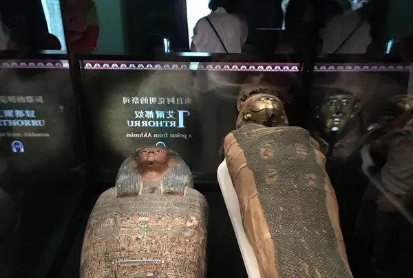 香港科学館の写真・動画_image_242649