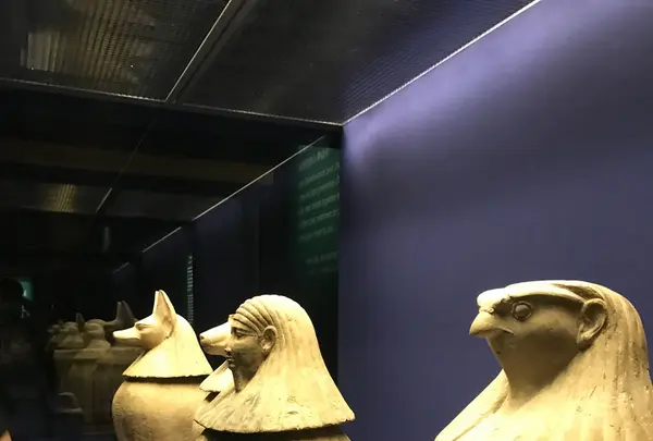 香港科学館の写真・動画_image_242650