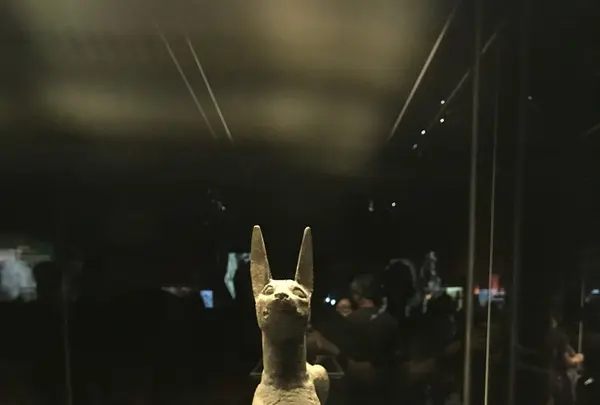 香港科学館の写真・動画_image_242651