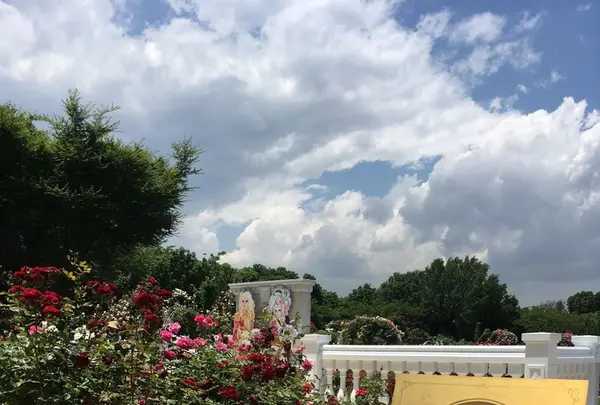 京成バラ園の写真・動画_image_242694