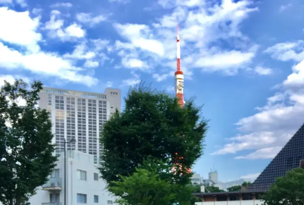 まちの本とサンドイッチの写真・動画_image_242750
