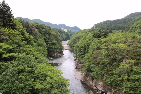 鬼怒楯岩大吊橋の写真・動画_image_242875