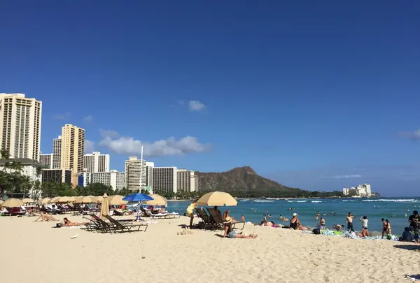  The Royal Hawaiian（ロイヤル ハワイアン ホテル）の写真・動画_image_243210