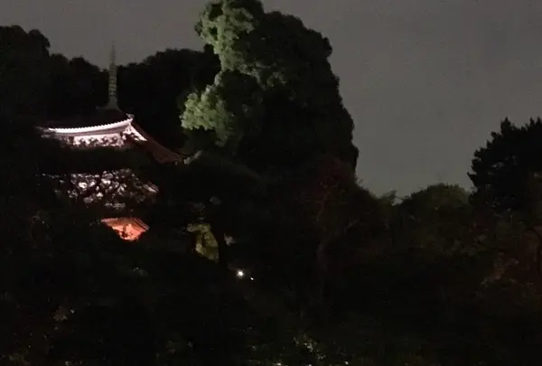 椿山荘 庭園の写真・動画_image_243345