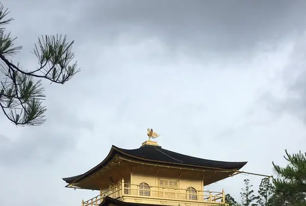 金閣寺（鹿苑寺）の写真・動画_image_243552