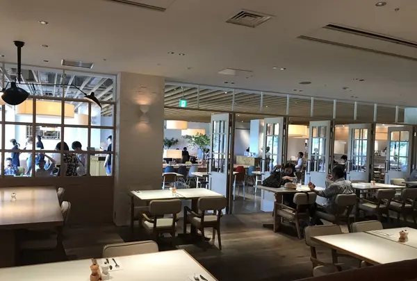 bills お台場の写真・動画_image_243708