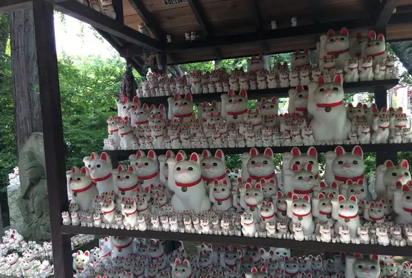 豪徳寺の写真・動画_image_244513