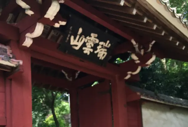 本光寺の写真・動画_image_244538