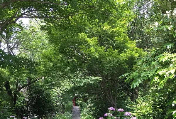 本光寺の写真・動画_image_244539