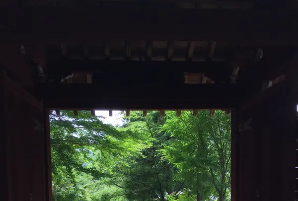 本光寺の写真・動画_image_244542