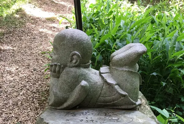 本光寺の写真・動画_image_244545