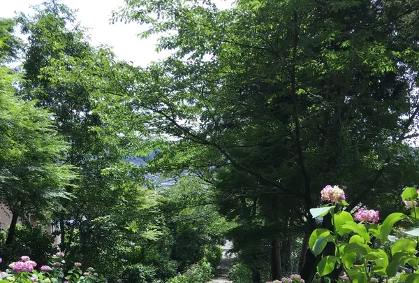 本光寺の写真・動画_image_244551