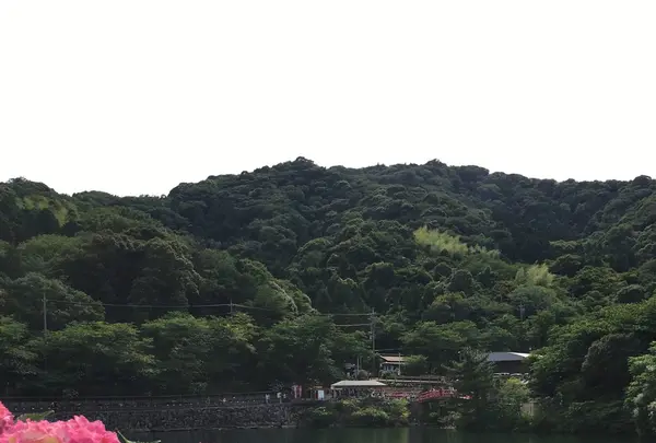 形原温泉あじさいの里の写真・動画_image_244566