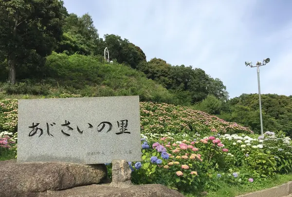 形原温泉あじさいの里の写真・動画_image_244570