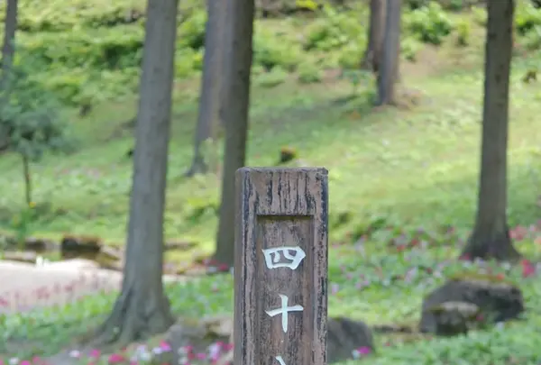 花の森四十八滝山野草花園の写真・動画_image_244575